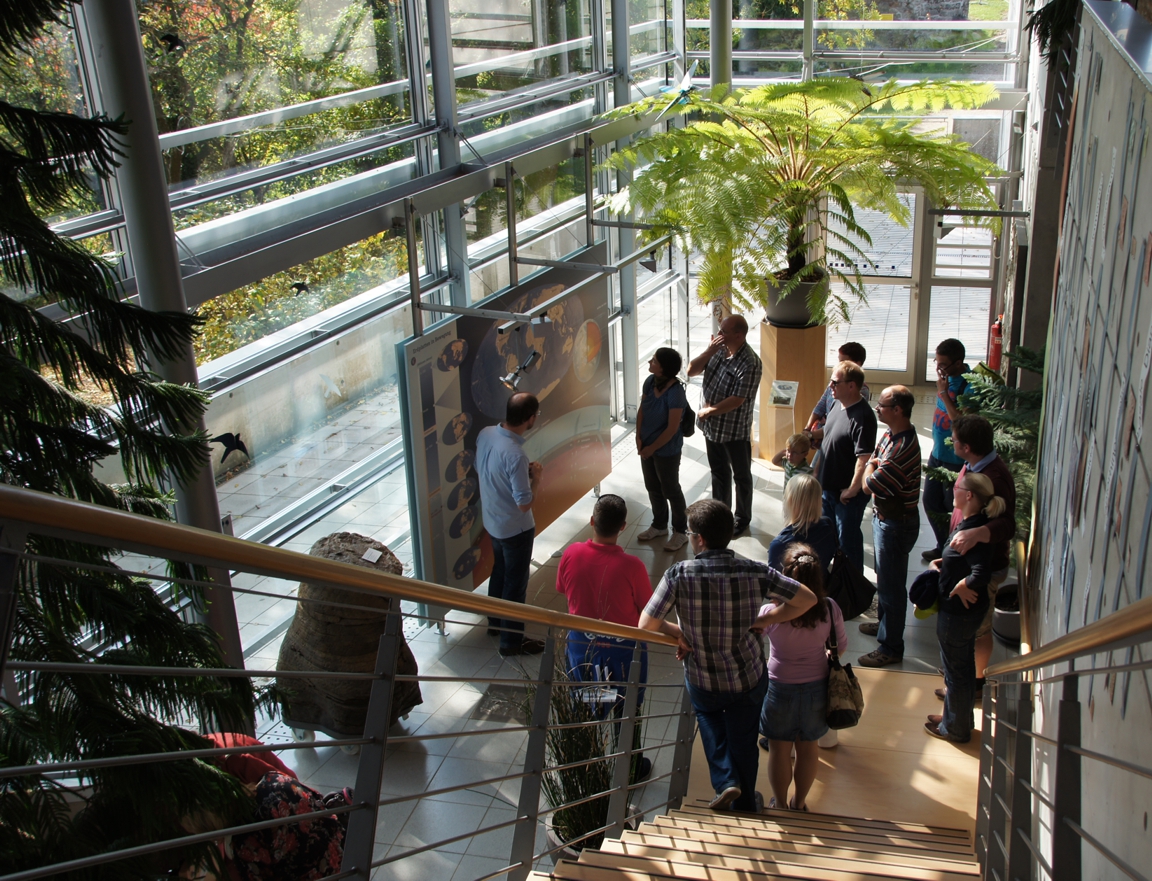 2 Dauerausstellung | Urweltmuseum Geoskop