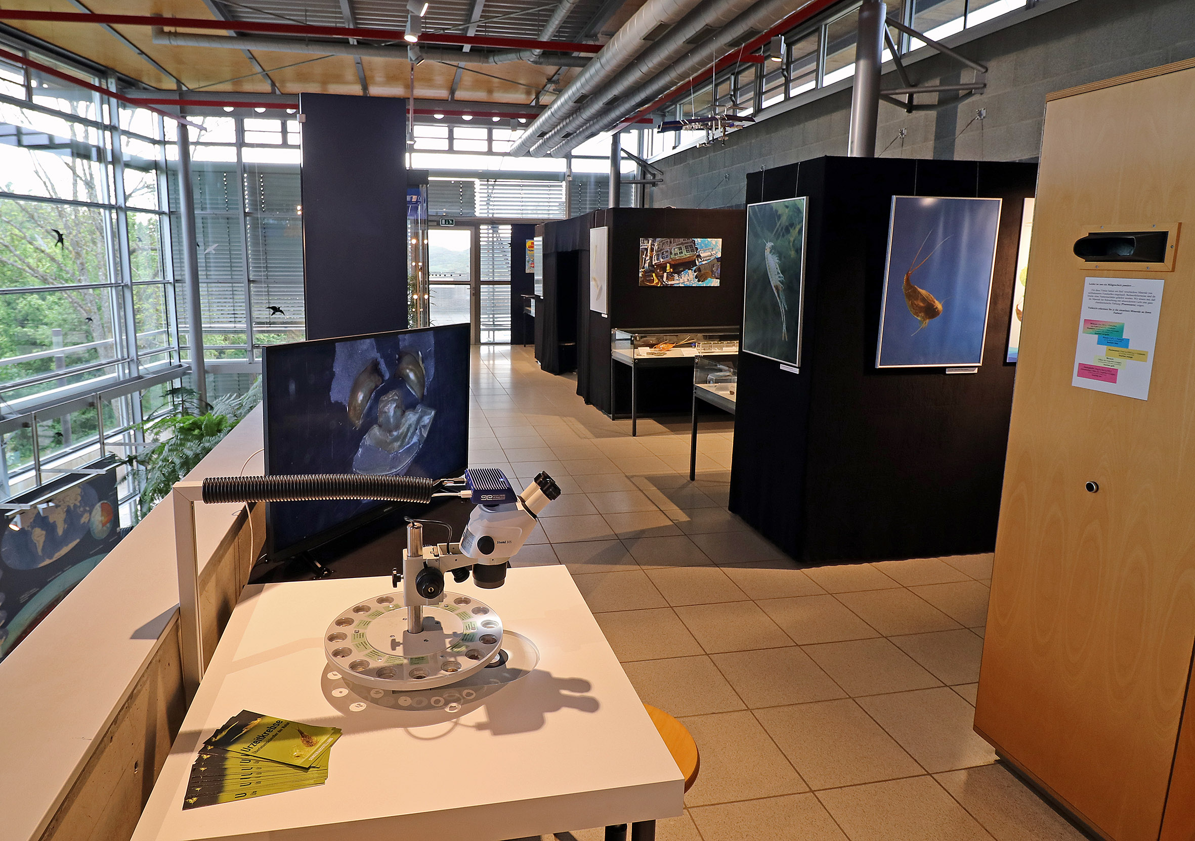 Sonderausstellunhg Urzeitkrebse GEOSKOP 2024 2025 v1 Seite 05 - Urweltmuseum Geoskop