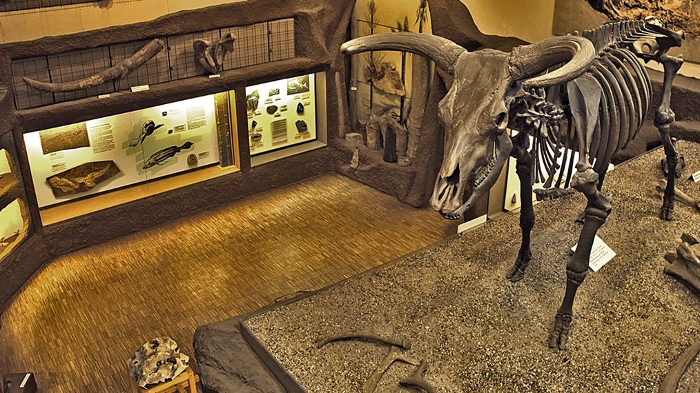 2025 03 29 AK Geo DUeW - Urweltmuseum Geoskop
