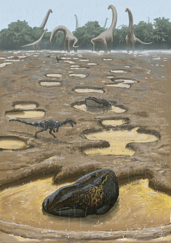 1 Beelzebufo klein | Urweltmuseum Geoskop