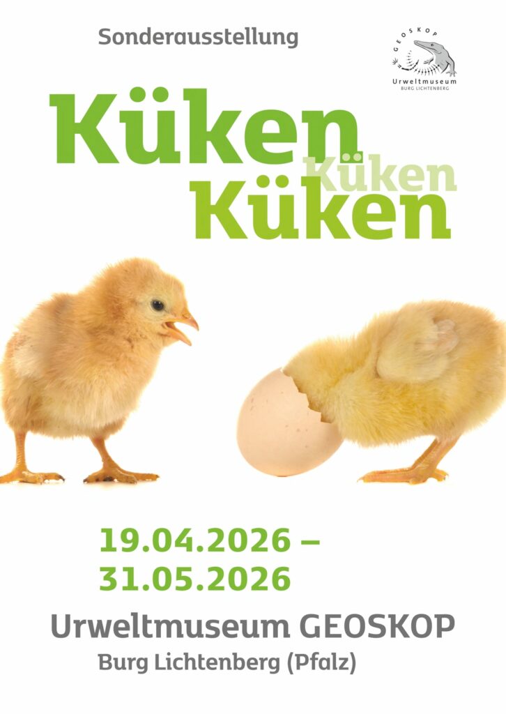 Küken, Küken, Küken 7 | Urweltmuseum Geoskop Werbeplakat Kueken 2026 1 | Urweltmuseum Geoskop